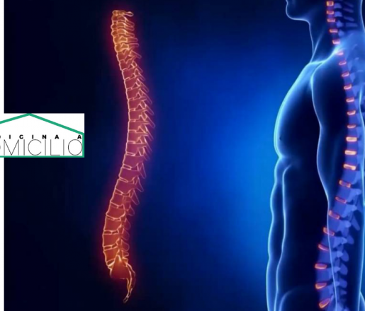RX della colonna vertebrale: quando e perchè svolgerla