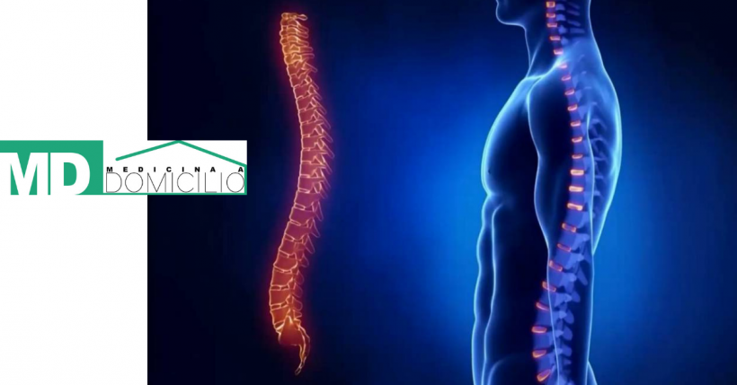RX della colonna vertebrale: quando e perchè svolgerla